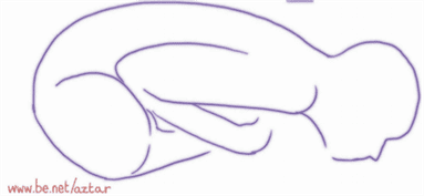 Le Temps d&rsquo;une Respiration… Baddha Konasana