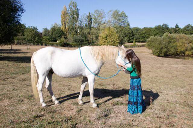 Soigner la teigne équine avec des plantes et des huiles essentielles