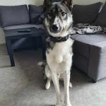 09f41f0f 047c 4ee9 bc79 1eacddcd5350 min 150x150 1