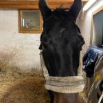 3f7245c8 adbc 4fa6 a612 92d55f5ea6fd min 150x150 1