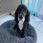 b41883c7 027f 4014 921f d0f4c0d5b9a2 min 150x150 1