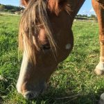 c2765525 9602 4db4 abe3 a7d5bac7d90f min 150x150 1