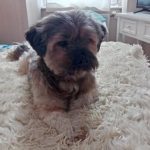 photo Elliot 150x150 1