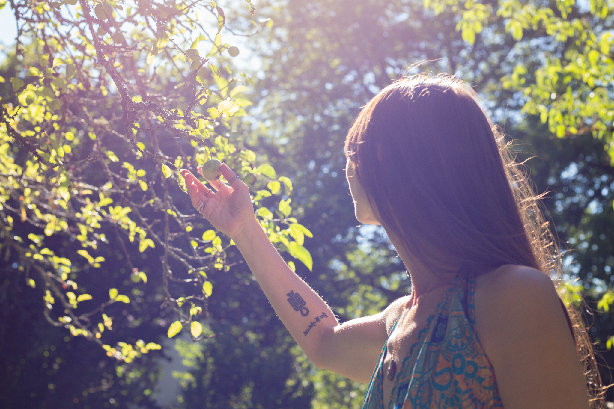 Formation Énergétique