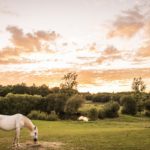 OasisDeLaube.29.06.20.BD©ANAKA 28