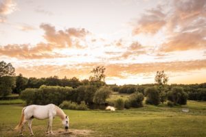 OasisDeLaube.29.06.20.BD©ANAKA 28