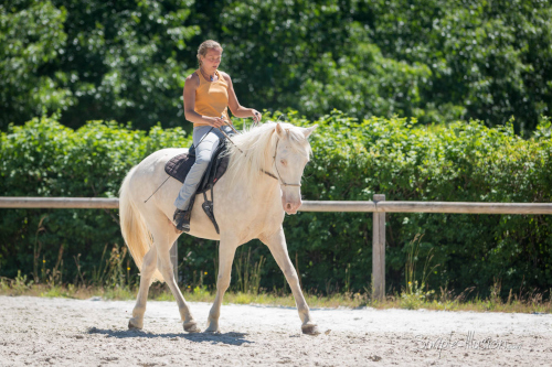 biomecanique du cheval et cavalier formation