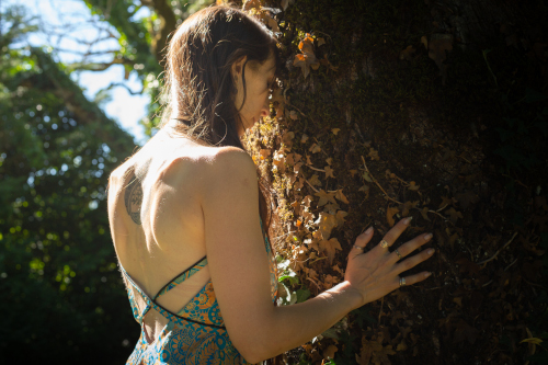 formation soins energetique 500px