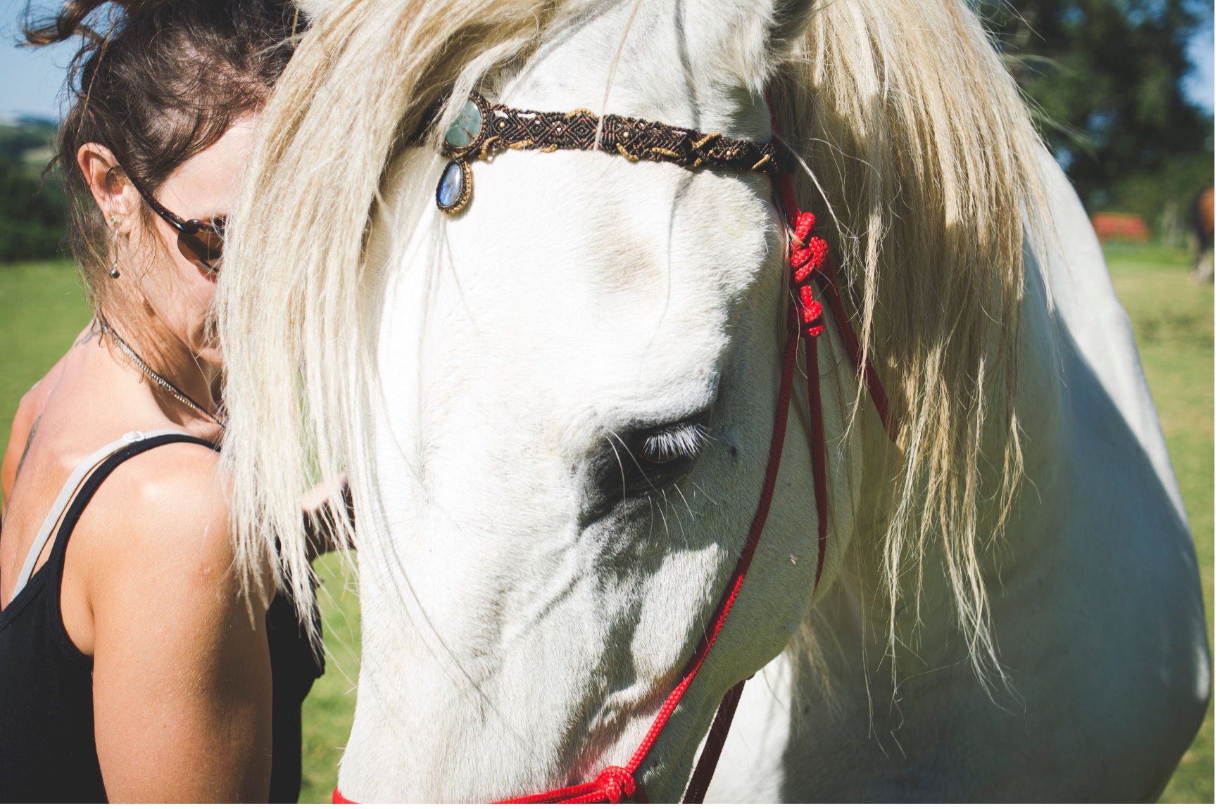 La Lithothérapie pour les chevaux : pourquoi l&rsquo;utiliser ?