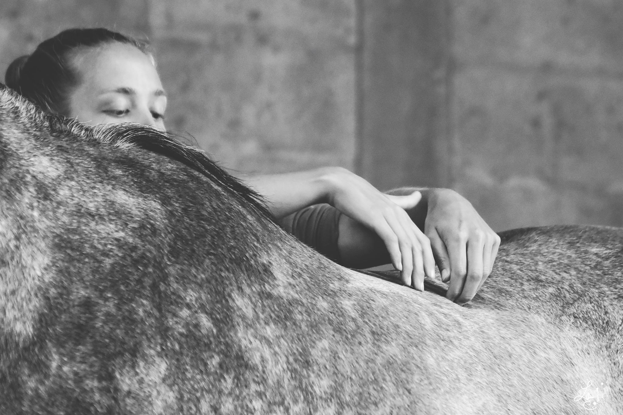 Comment améliorer les performances de son cheval grâce aux massages et étirements ?