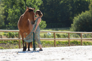 communication animale formation shantyoga