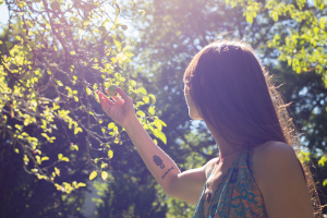 formation énergétique avancée