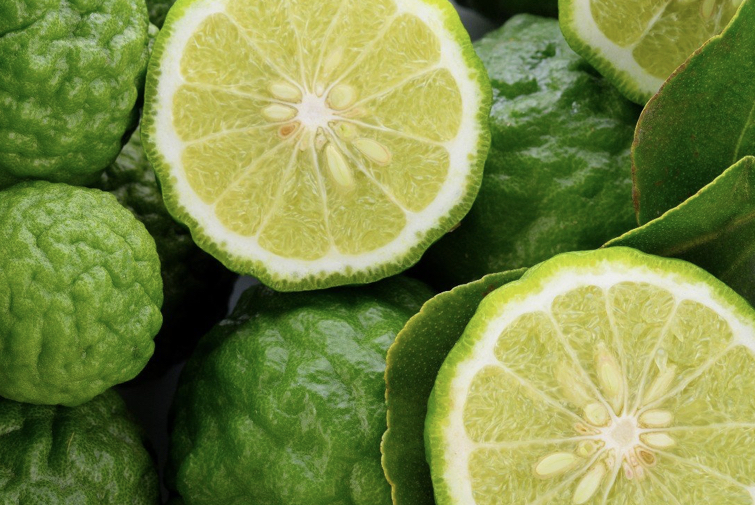 Une rentrée sereine avec les huiles essentielles