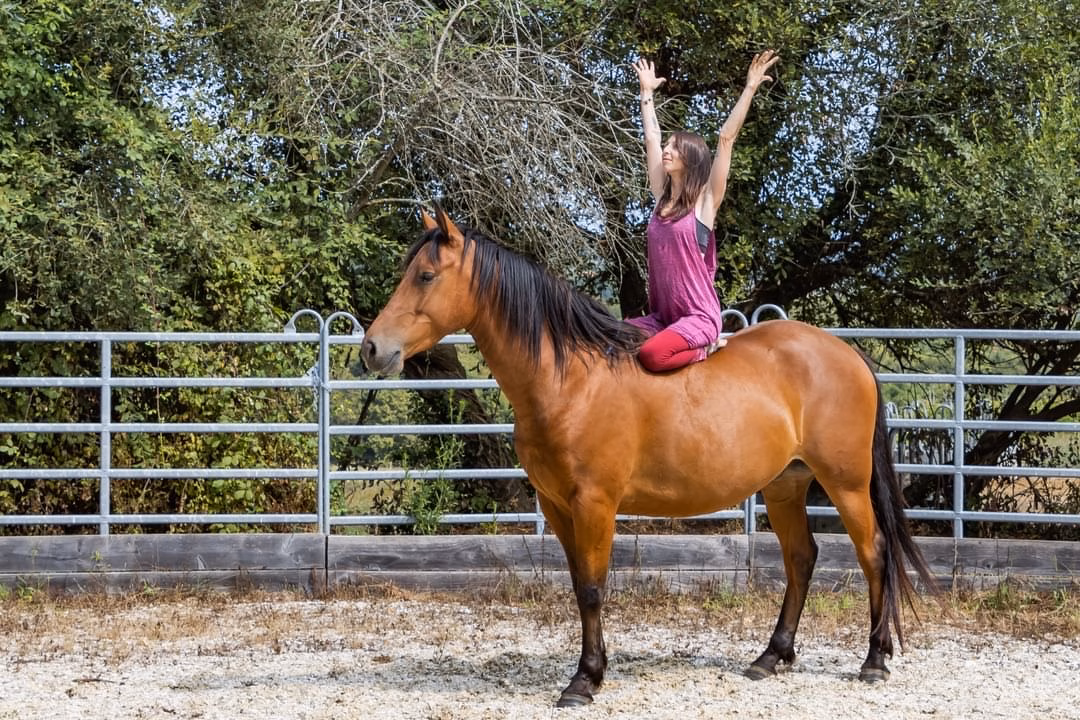 Yoga du Cavalier